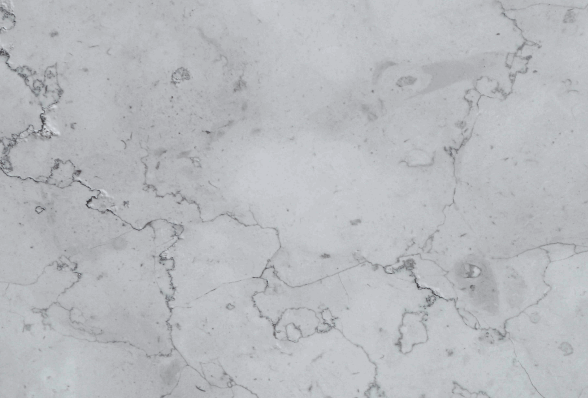 Our clients Compac Corporates